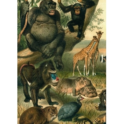 The Dybdahl Co. African Fauna Left Side