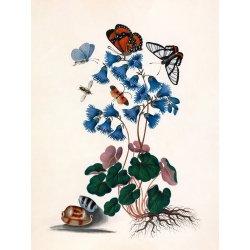 The Dybdahl Co. Butterflies & Blue Flowers