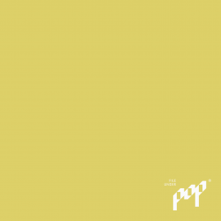File Under Pop Paint Yellow Raincoat · Tre Stjerner 80% · 3 liter